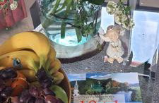 Apartmani Fenestra Tesla i Faust - Foto 25