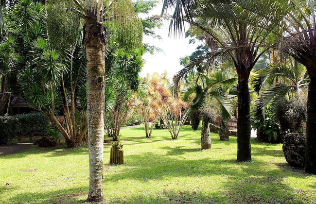 VILLAGE TEMANOHA - Foto 15