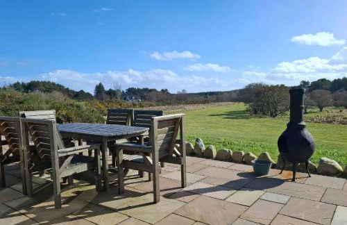 Red Squirrel - Photo 6