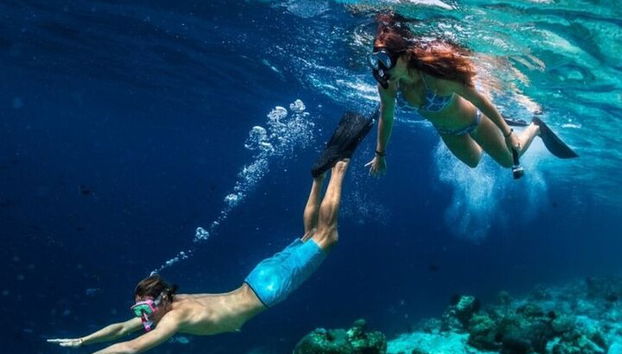 Snorkeling compartilhado de dia inteiro nas Ilhas Hamata saindo de Marsa Alam - Foto 5