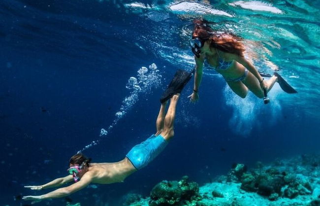 Snorkeling compartilhado de dia inteiro nas Ilhas Hamata saindo de Marsa Alam - Foto 5