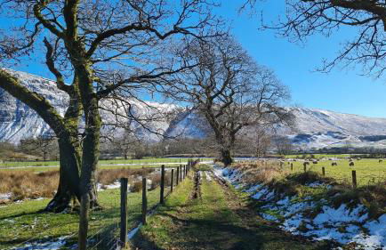 Pheasant Lodge Scottish Borders - Foto 61