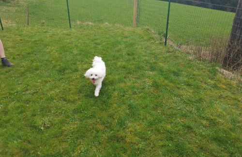 Auszeit, Erholung mitten in der Natur - Ferienhaus im Sauerland in Faulebutter - Foto 12