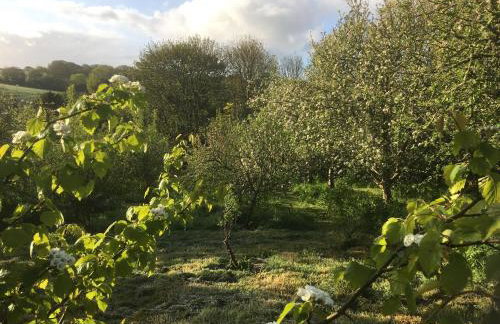 Coombe Barn - Photo 26