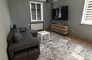 Apartament w Centrum Żor - Photo 2