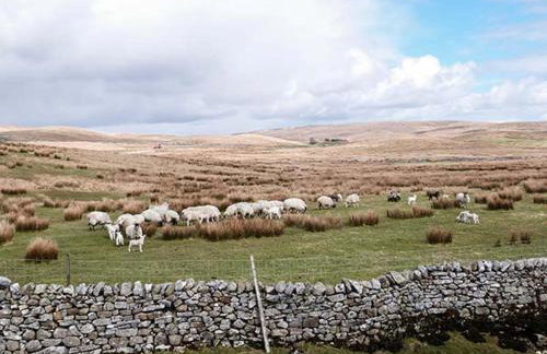 Wenning Bank - Foto 19