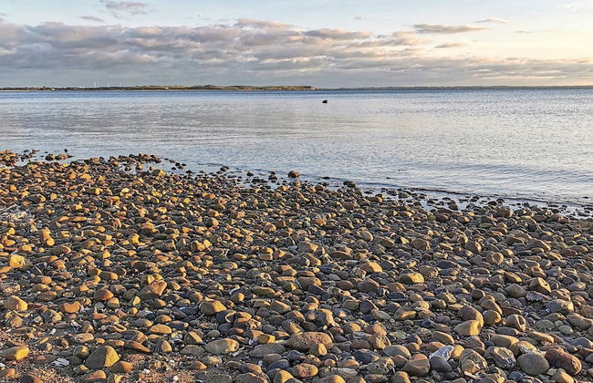 6 Person Holiday Home in Spottrup - Photo 8