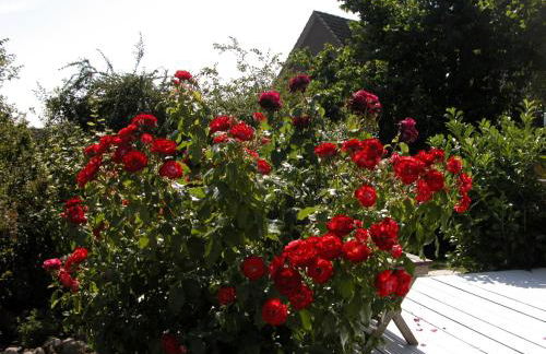 Quarterdeck61 - Foto 16