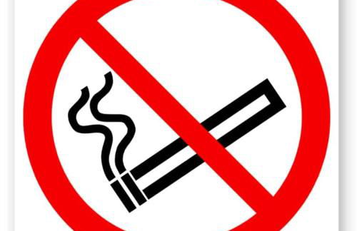 Ferienwohnung auf dem Dorf - Foto 24