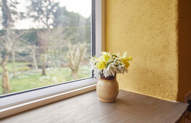 Snowdrop Cottage - Photo 30