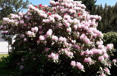 Ferienhaus am Langen See III - Foto 15