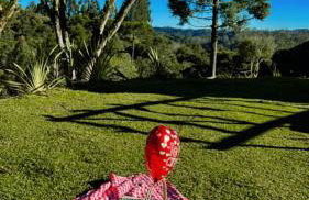 Chalé Romantico a 20km de Curitiba com banheira - Foto 39