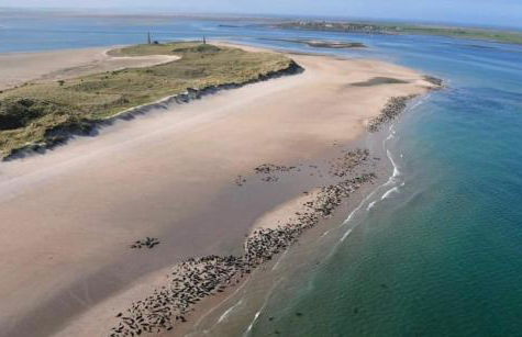 Delightful cosy shepherd's hut at Victorian Station - Foto 28