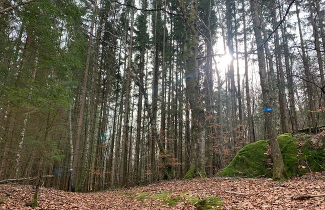 3 Person Holiday Home in Hunnebostrand-by Traum - Foto 18