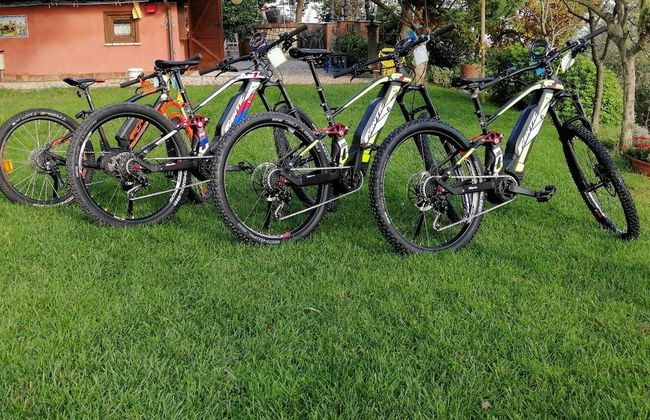 Country House Bosco d'Olmi - Foto 58