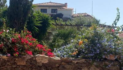 Gästehaus Casa Roca Fataga - Foto 5, Garden view