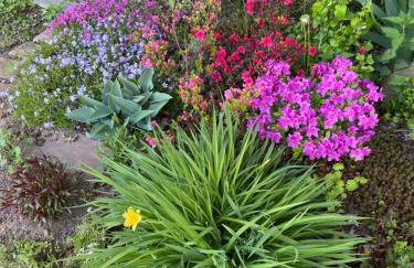 Guest House Wiejska Sielanka - Foto 6