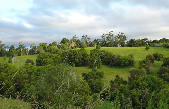 Bellthorpe Stays - Foto 69