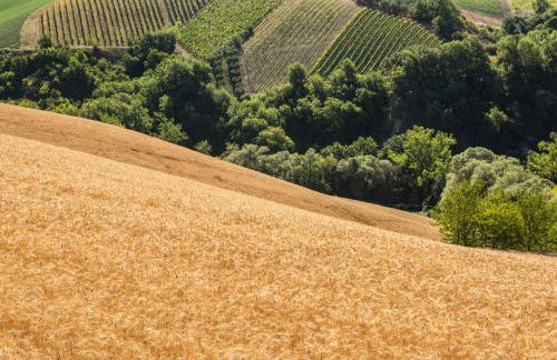 Relais Cocci Grifoni - Panoramic Wine Resort - Foto 29