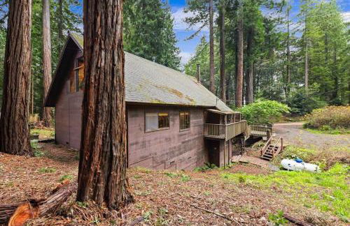 Redwood Retreat in Gualala - Foto 30