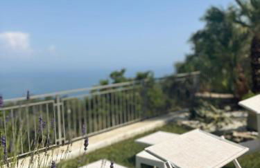 Villa Cristina - De Vivo Realty Piano di Sorrento - Foto 65