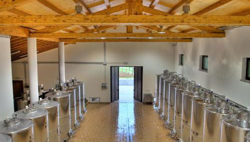 Pizzulin - Wine & Living - Foto 2