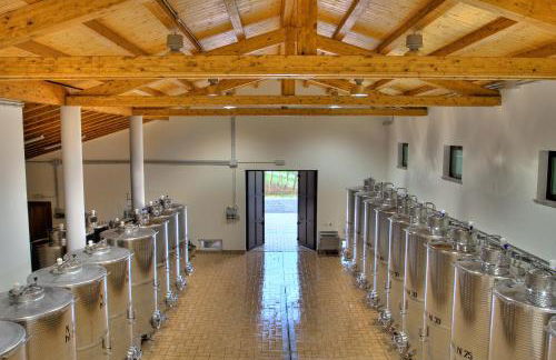 Pizzulin - Wine & Living - Foto 2