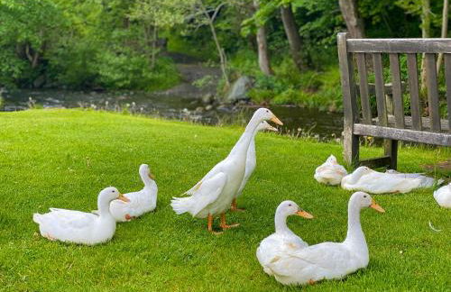 Brook House 2 - Uk31043 - Foto 20