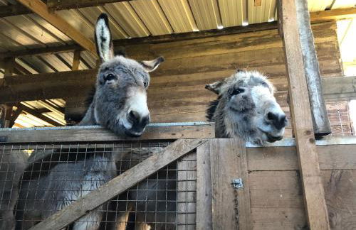 Le Bon Chemin gite - Foto 29