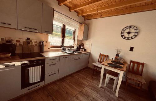 Bieszczady Żubrowe Wzgórze 785-049-543 - Foto 31