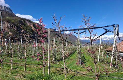 Versigglhof - Foto 74