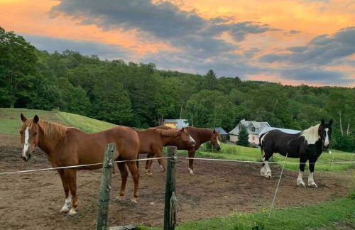 The Guest House at Sky Hollow - Foto 33