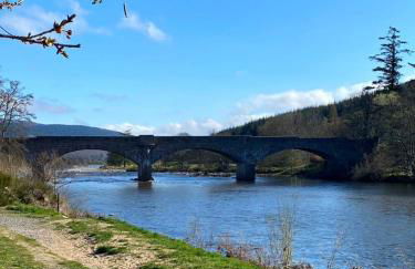 1 Golf Mews - Foto 15