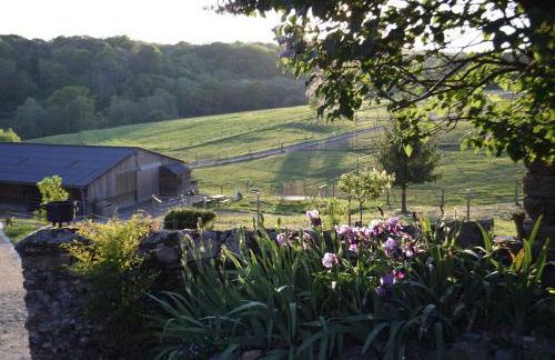 Gite la pause corrézienne - Foto 15