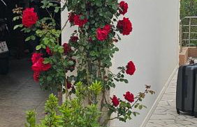 Apartmani Barnjak - Photo 15