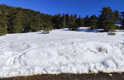 Appartement Greoliere les neiges avec exterieur - Foto 14