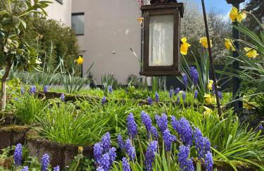 Sonnenlay Lounge - Studio & Ferienhaus - Foto 64