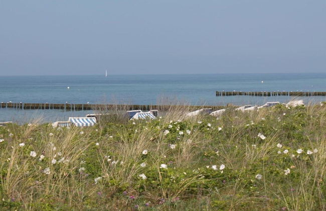 Ferienwohnung in Steffenshagen mit Garten - Foto 41