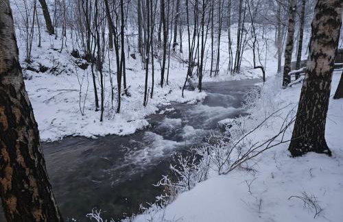 Nad Potokiem z Alpakami - Foto 23