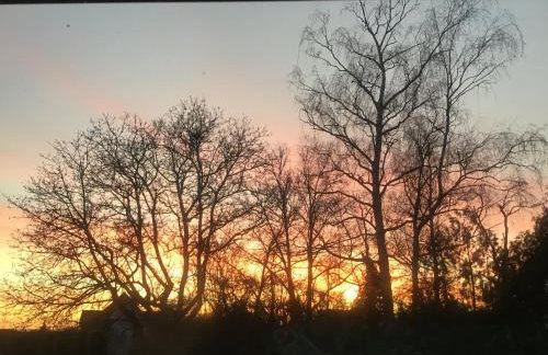 Apartment in der Waldstraße - Foto 19