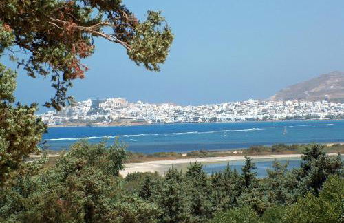 Kedros Villas - Foto 142