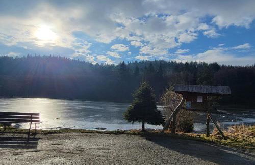 Cisza i Las - Dom na wyłączność, Prywatny Las, 2 pokoje, Polanica Zdrój - Foto 41