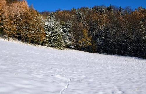 Leśna Muzyka Apartment Limanowa - Photo 37