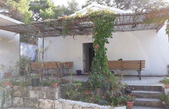 Apartments Limuni - Foto 49