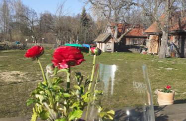 Liljas Haus im Spreewald - Foto 35