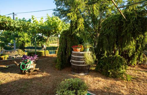 Apartment Olivia by Interhome - Foto 62