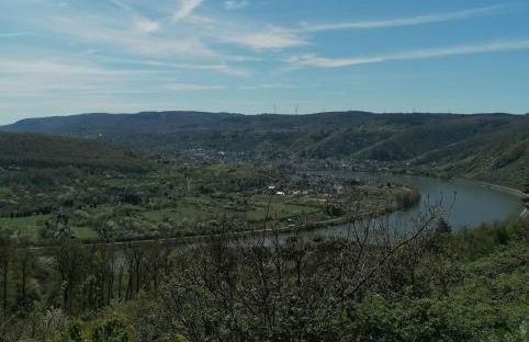 Ferienhaus Leo - Foto 24