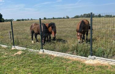 Domek nad stawem - Foto 6