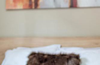 Sua Casa em Canela - Foto 25