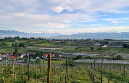 Blütenlodge Bodensee - Foto 45